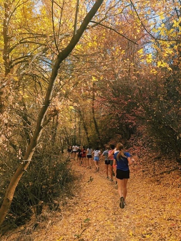 a group of people running down a trail in the woods on a sunny fall day