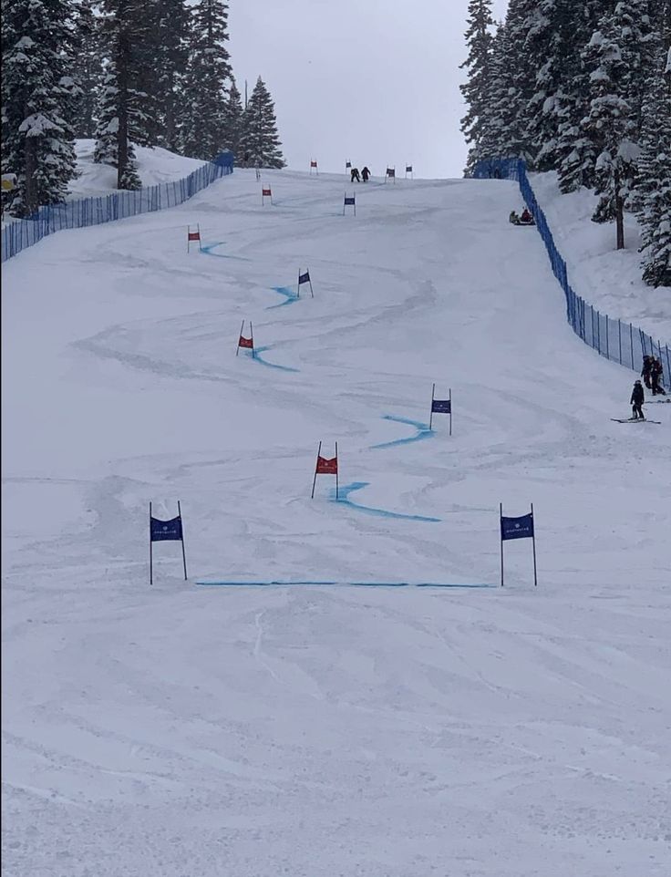 several people skiing down a snowy hill with flags on each side and trees in the background