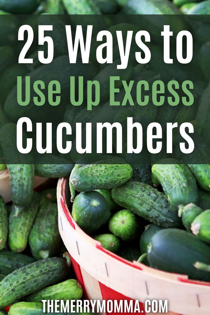 25 Ways to Use Up Excess Cucumbers Cucumber Powder Uses, Excess Cucumber Recipes, Ways To Use Up Cucumbers, What To Do With Big Cucumbers, How To Use Up Cucumbers, What To Do With Excess Cucumbers, Uses For Cucumbers, What To Do With Extra Cucumbers, Garden Cucumber Recipes