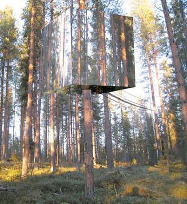 an upside down box in the middle of a forest with trees and grass around it