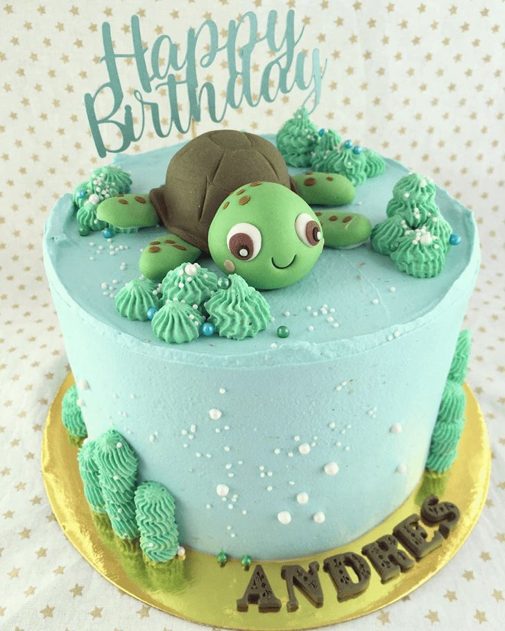 a birthday cake decorated with an image of a turtle