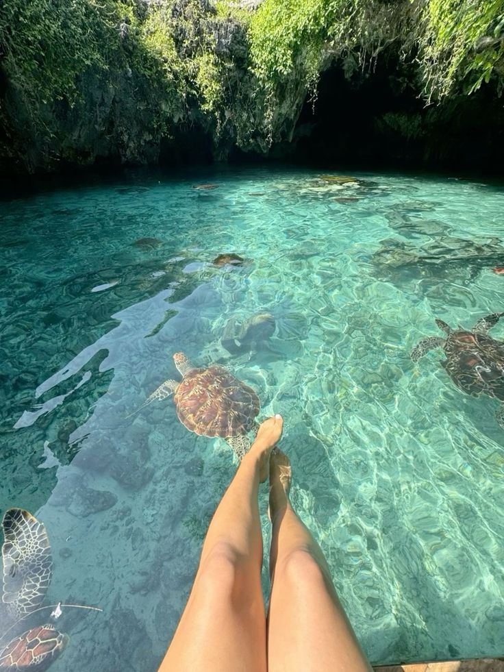 a woman's legs are in the water with turtles