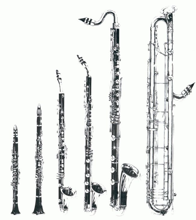 several different types of musical instruments lined up in a row on a white background with black and white ink