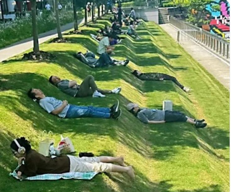 several people laying on the grass in a park with their backs to each other and reading books