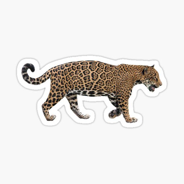 an animal sticker with a leopard on it's face and tail, walking