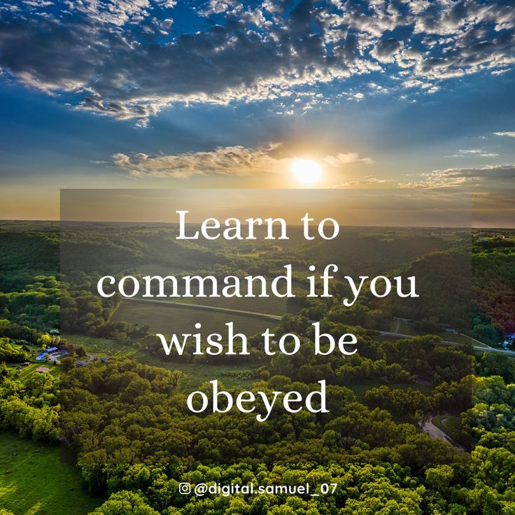 an aerial view of trees with the sun in the background and a quote that reads learn to command if you wish to be observed