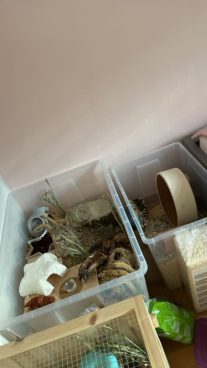 two plastic containers filled with bird food and other items