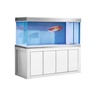 a fish tank sitting on top of a white cabinet