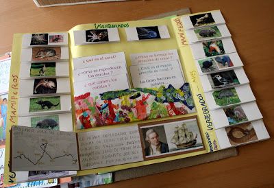 an open book with pictures and writing on the front cover that is attached to a bulletin board