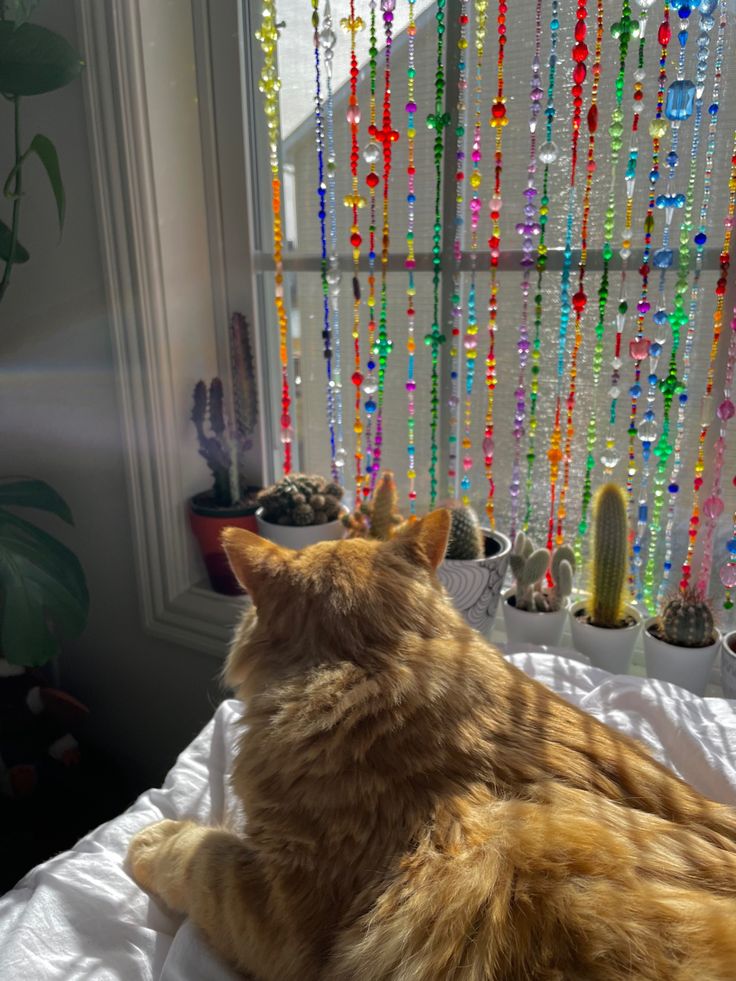 an orange cat laying on top of a bed next to a window covered in beads