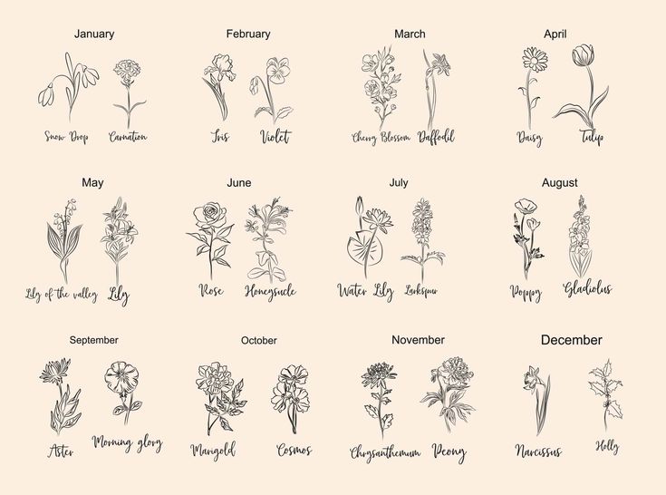 an image of flowers and their names