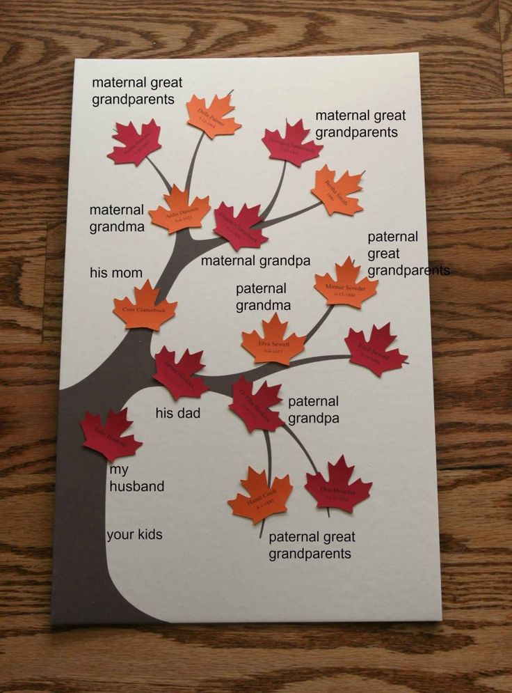 a card with an image of a tree and its leaves labeled in the words,