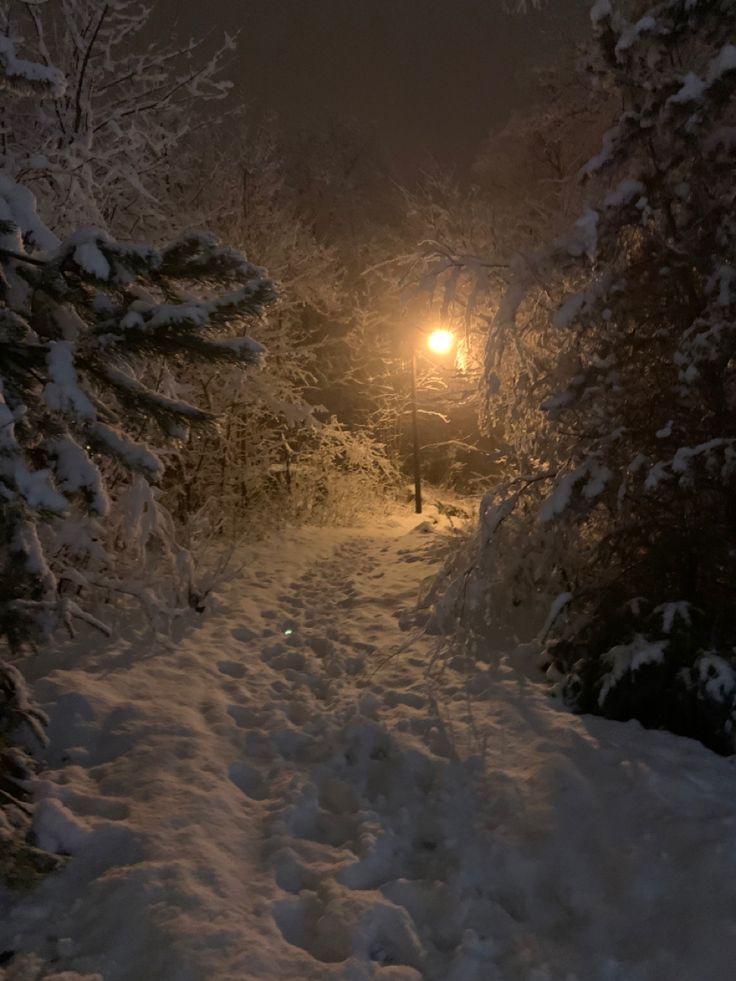 a snow covered path at night with a street light in the distance and trees on either side