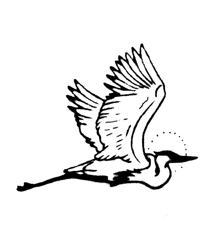 a black and white drawing of a bird flying