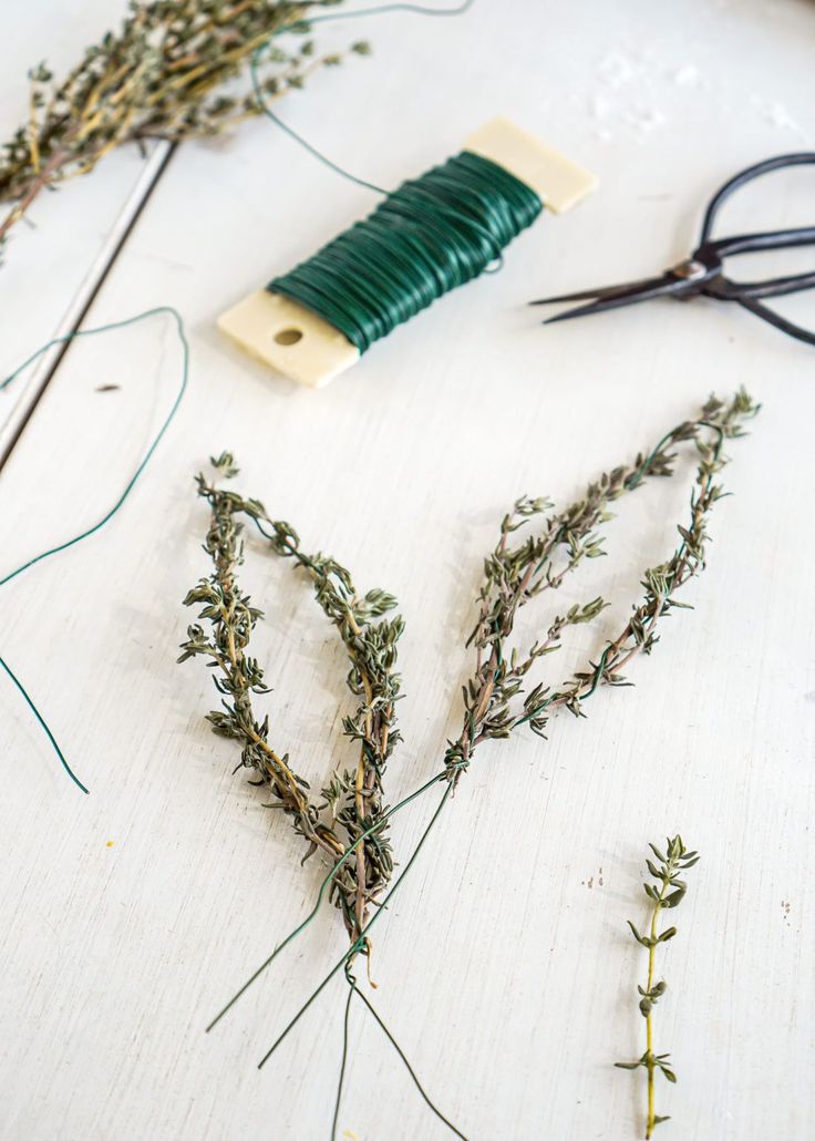 some plants are sitting on a table with scissors and thread next to it, along with other items