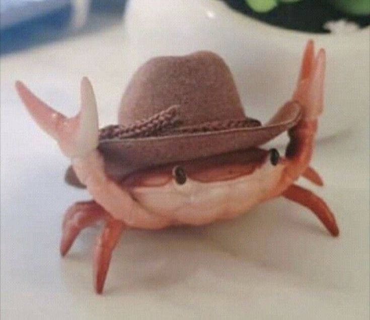 a crab with a hat on it's head sitting on top of a table