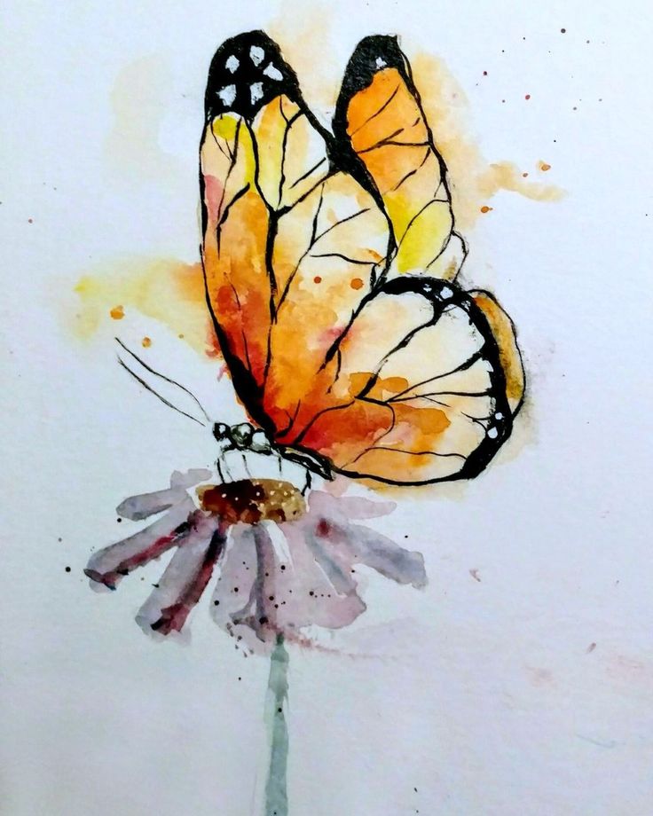 a watercolor painting of two butterflies sitting on top of a flower