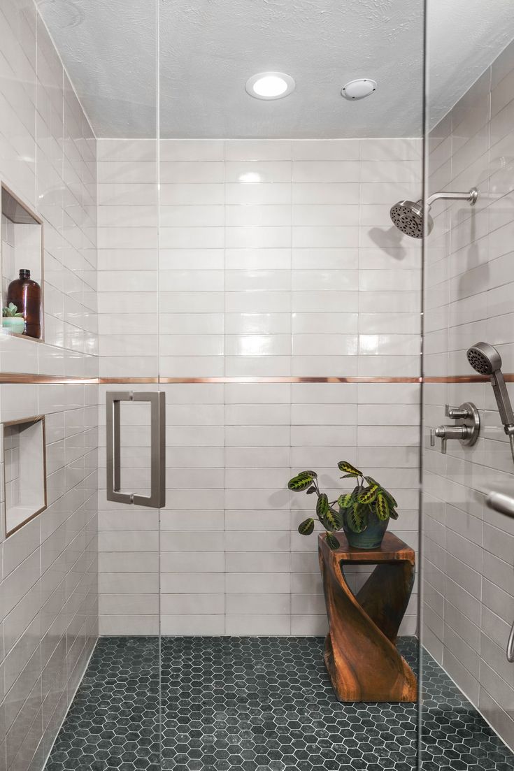 a white tiled bathroom with a plant in the corner and glass shower doors on both sides