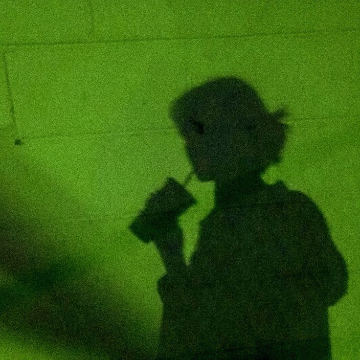 the shadow of a person holding a camera in front of a green wall and floor