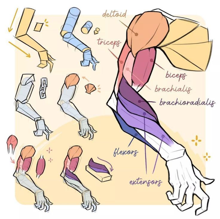 an image of a man's arm with different parts labeled in it and instructions on how to wrap the arm