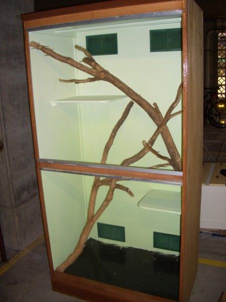 a display case with branches in it