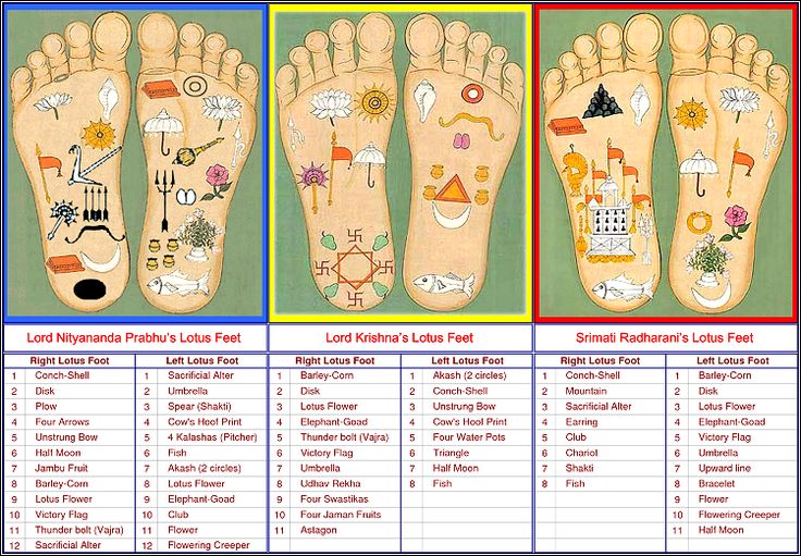 the foot is shown with different designs on it