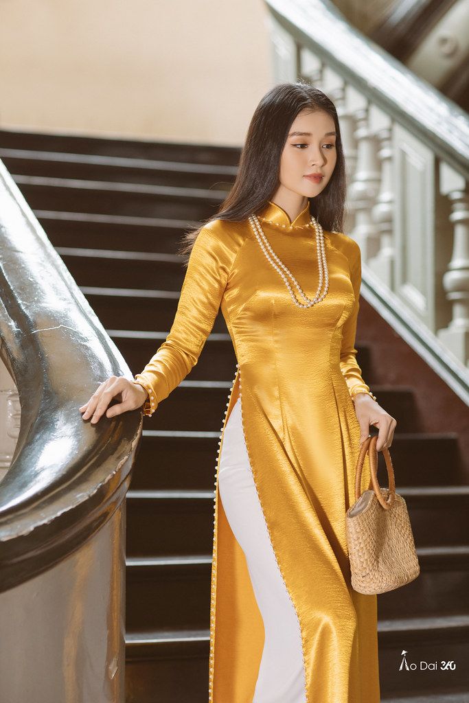 Satin Suit Design, Vietnam Dress, Chinese Style Dress, Girls Long Dresses, Vietnamese Dress, Fancy Dresses Long, Dress Design Patterns, Muslim Fashion Dress, Designer Dresses Casual