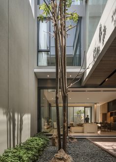 the interior of a modern house with trees and rocks