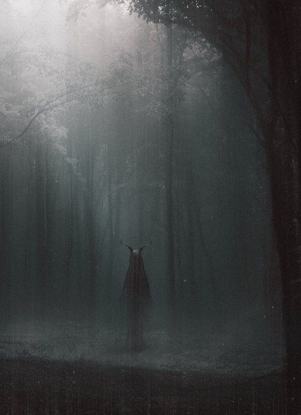 a person standing in the middle of a foggy forest with an umbrella over their head