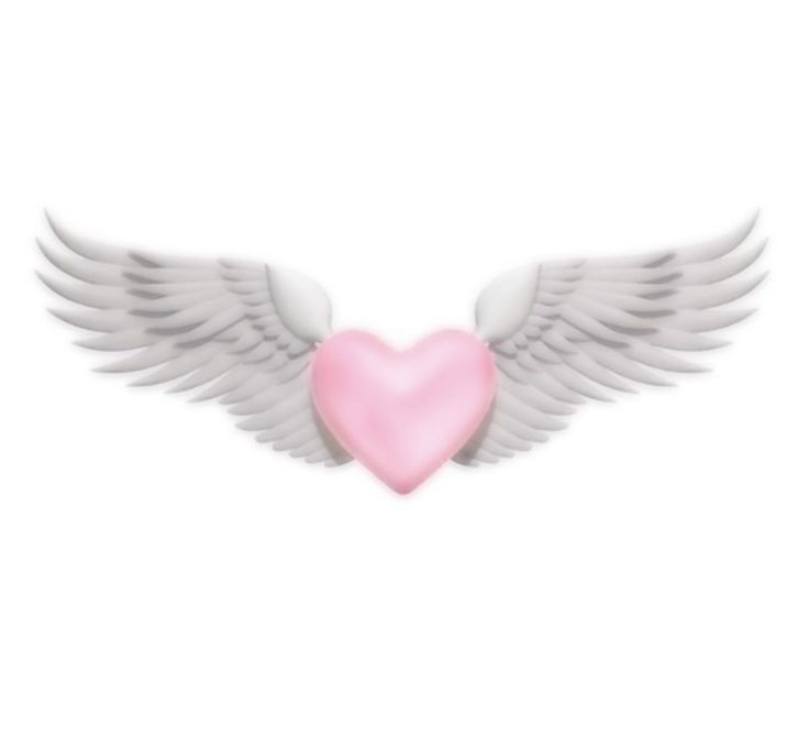 a pink heart with white wings on a white background