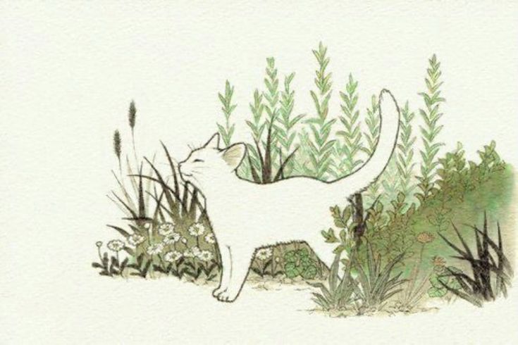 a drawing of a cat standing in the middle of some grass and plants, looking up at it's tail