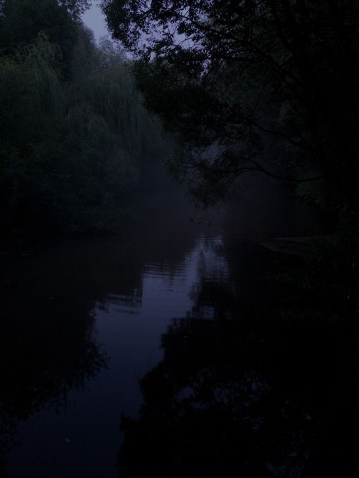 a dark river with trees on both sides and water in the middle, at night