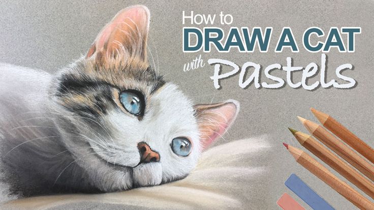 how to draw a cat with pastels