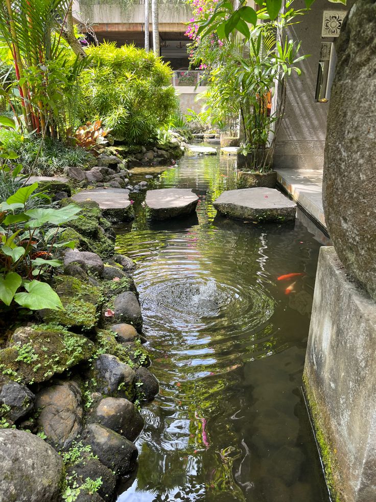 a small pond surrounded by rocks and plants