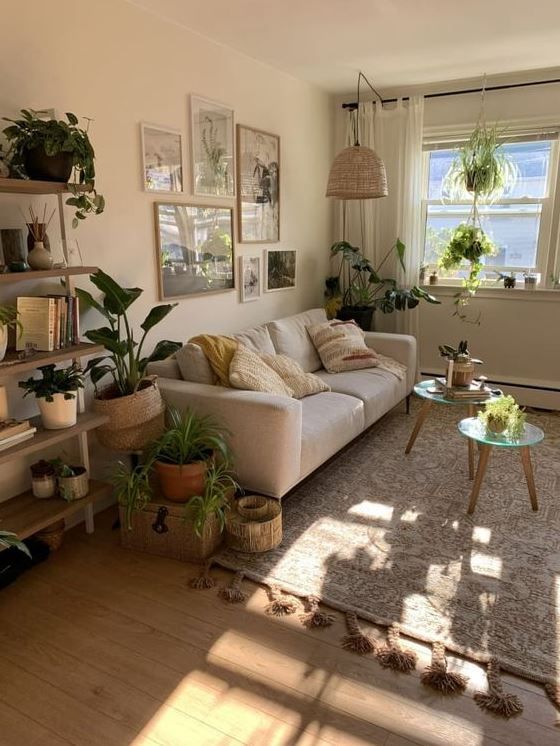 a living room filled with furniture and lots of plants