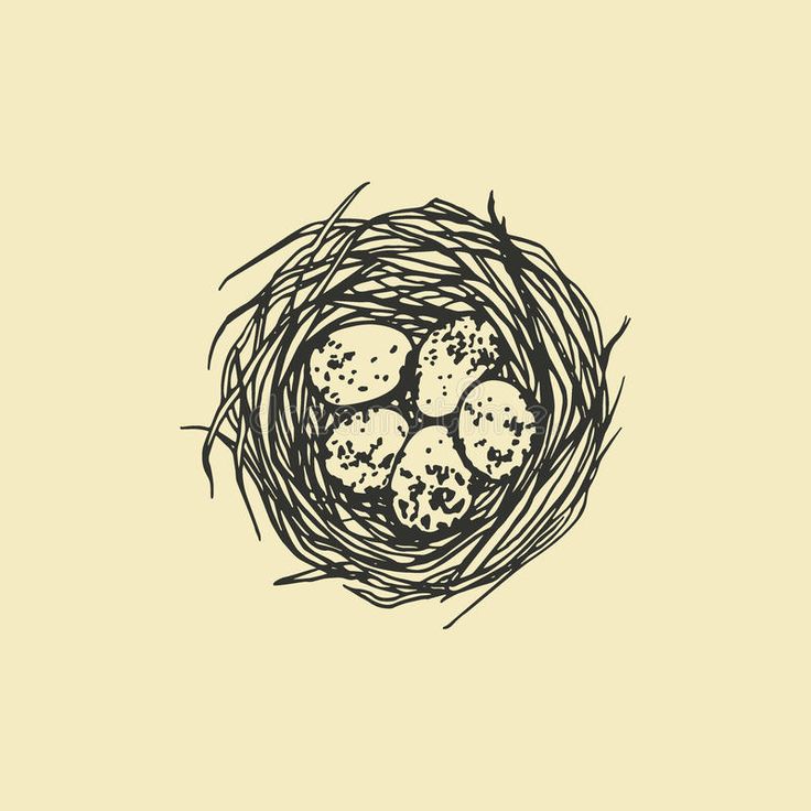 Hand drawn nest illustration royalty free illustration Art Inspiration Wallpaper, Nest Illustration, Egg Illustration, Inspiration Wallpaper, Beautiful Illustration, Free Illustration, Graphic Style, Sketches Simple, Bird Nest