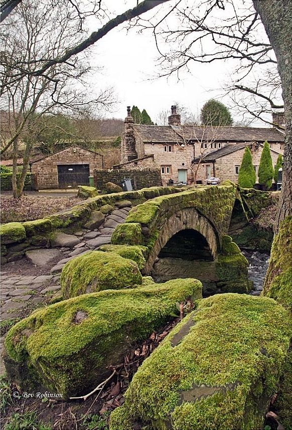 moss covered stone bridge in the middle of a village