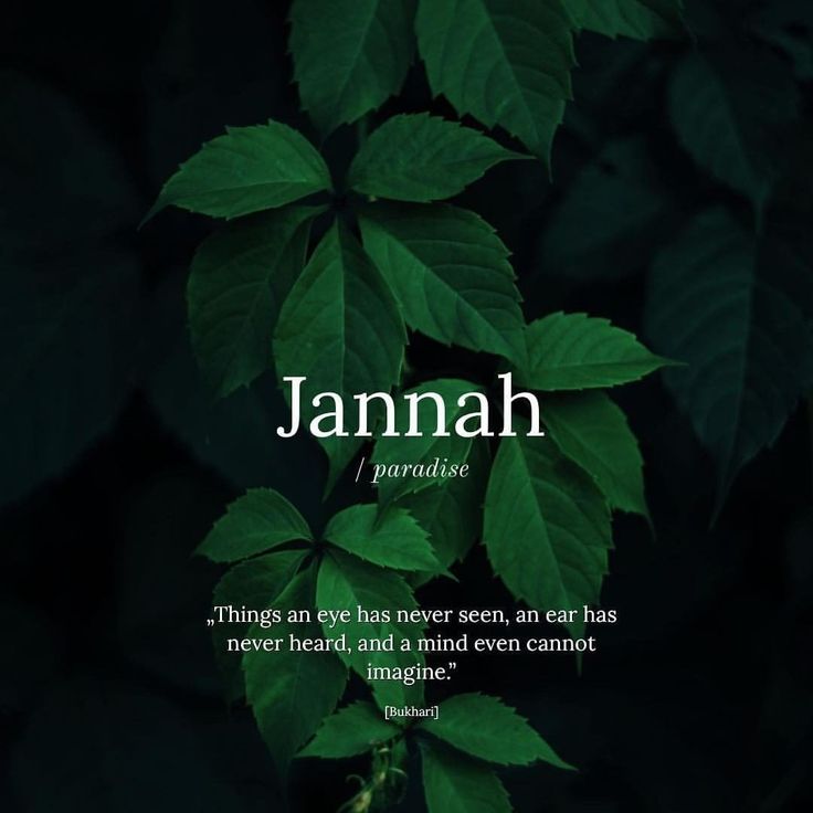 a green leaf with the words jannah on it and an image of leaves in the background