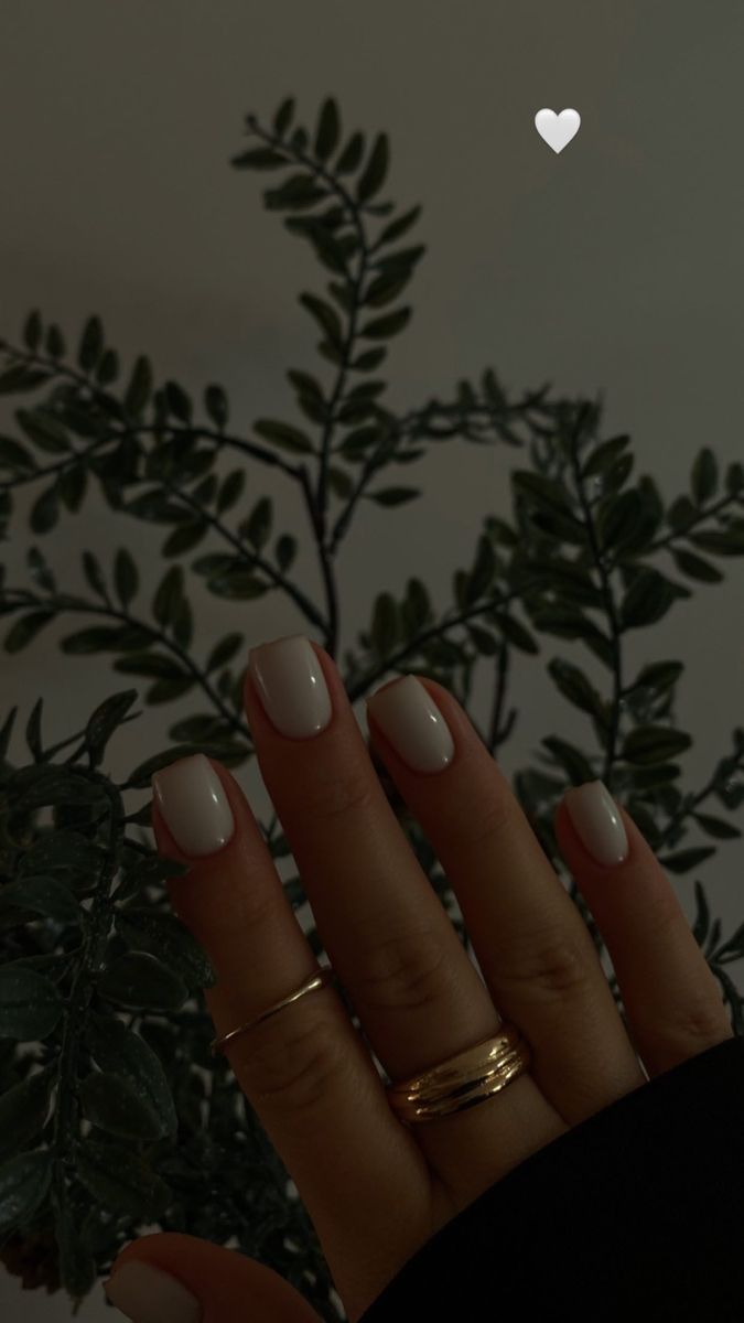 Clean Nail Inspo Short, Nails For Short Fingers Best, Short Cream Acrylic Nails, Short Aethestic Nails, Nails Acrylic Short Basic, Short Nails Asthetics, Short Nail Asthetic Pics, Short Nails For Pale Skin, Nail Inspo Rounded Square