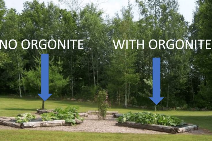 there are two different ways to grow an organic garden in the yard with no orgonite