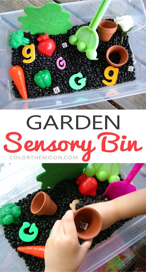 a plastic container filled with black seeds and carrots that have been made into a garden bin