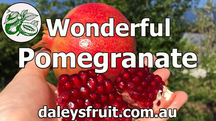 a hand holding an apple and pomegranate with the words wonderful pomegranate above it