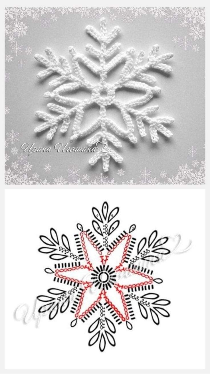 two snowflakes are shown in white and red