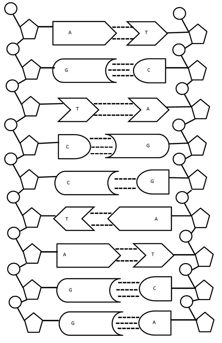 an image of a diagram with arrows and numbers on the bottom half of each line