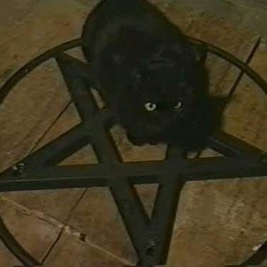 a black cat sitting in the middle of a pentagram