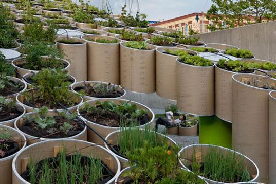 there are many plants growing in the concrete planters