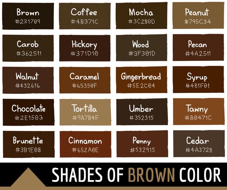 the different shades of chocolate paint