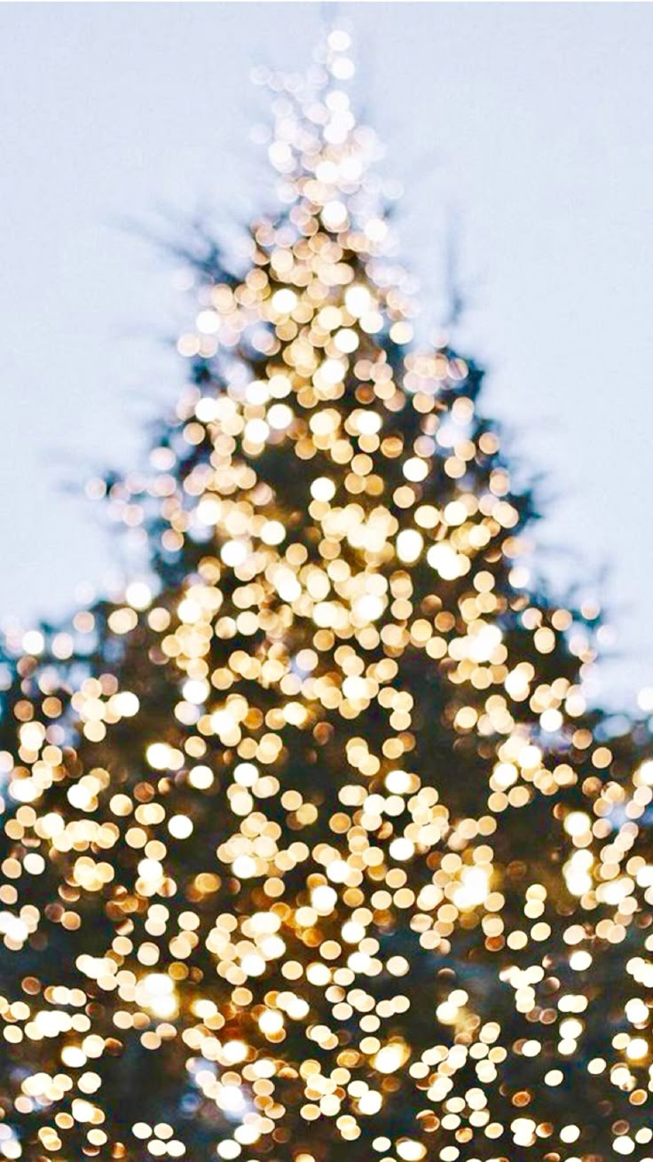 a large christmas tree with lights on it