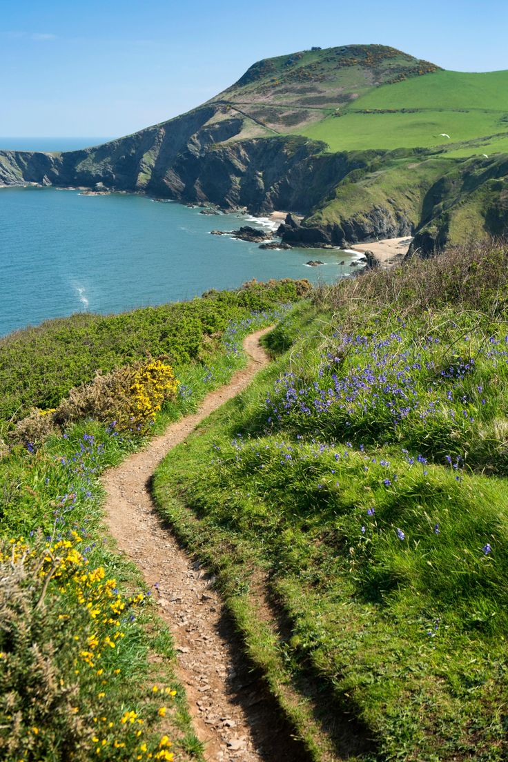 a path leading down to the ocean with green hills and blue water in the background