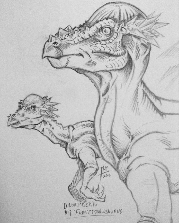 a pencil drawing of a dragon and a bird